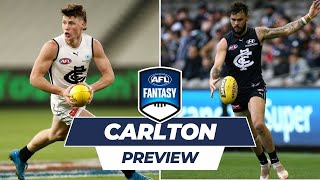 Carlton Blues Fantasy Preview [upl. by Gay454]