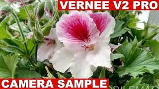 Vernee V2 Pro Camera Sample [upl. by Dukey]