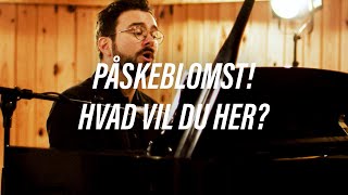 Phillip Faber synger og spiller Påskeblomst hvad vil du her til bogen Den danske sang [upl. by Georgiana550]