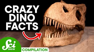 5 Cool Facts About Dinosaurs You Should Know [upl. by Nirro791]