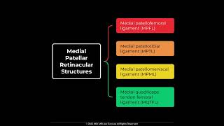 MPFL Medial Patellofemoral Ligament Anatomy MSKMRI JLEE [upl. by Paresh]