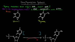 Deoxyribonucleotides and Deoxythymidylate Synthesis [upl. by Atinauj]