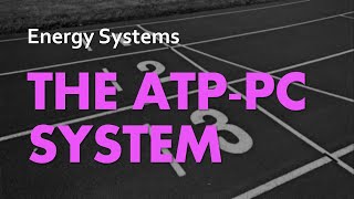 The ATPPC System  Energy Systems 02  Anatomy amp Physiology [upl. by Jacobsohn]