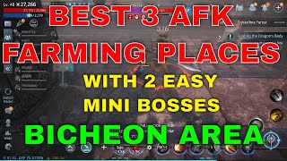 Mir4 Guide Tips  Best Farming Places For Being AFK Farming [upl. by Christoforo]