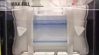 Gel electrophoresis timelapse video SDSPAGE [upl. by Lehcer]