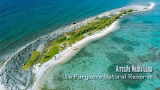 SeqArrecife Media Luna Lajas  Puerto Rico [upl. by Lletniuq]