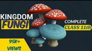 Fungi  Kingdom fungi class 11  Biological classification  Ncert  Be Educated [upl. by Pinkham]