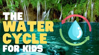 The Water Cycle for Kids  Learn all about the water cycle [upl. by Shayn]