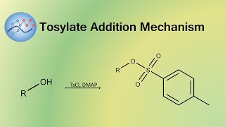 Adding Tosylate Group Mechanism  Organic Chemistry [upl. by Boorman]