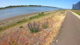 Zomerse wandeling langs de Nieuwe Waterweg bij Maassluis [upl. by Bodnar362]