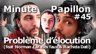 Minute Papillon 45 Problème délocution feat Norman fait des faux et Rachida Dati [upl. by Idell]