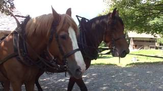 Country life at Ballenberg Open Air Museum in Switzerland [upl. by Lindemann]