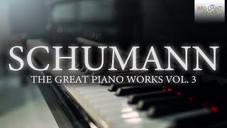 Schumann The Great Piano Works Vol 3 [upl. by Zeralda450]