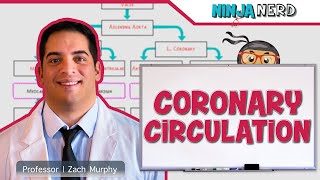 Circulatory System  Coronary Circulation [upl. by Dwight]