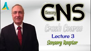 DrNagi  CNS Sensory CRASH COURSE  Lecture 3  Sensory Receptor [upl. by Melise]