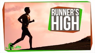 What Causes Runners High [upl. by Pugh]