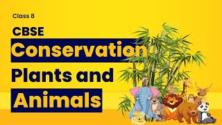 CONSERVATION OF PLANTS AND ANIMALS  Class 8  CBSE  DAV [upl. by Crelin]