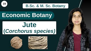 Economic Botany  Jute Corchorus species  B Sc amp M Sc [upl. by Ecnarepmet286]