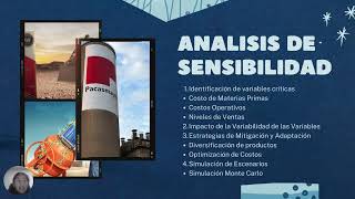 ANALISIS DE SENSIBILIDAD APLICADO A UNA EMPRESA CEMENTERA [upl. by Terle974]