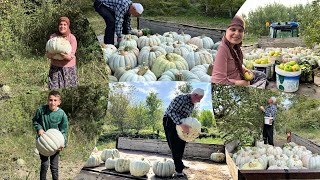 Kabak hasadımız elma 🍏topladık bahçede temizlik sarımsağı sattık köyde günlük işler öğlen yemeği [upl. by Eceinart]