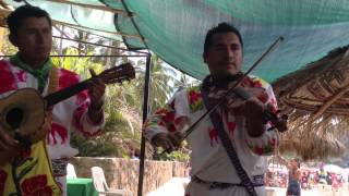 Musica tradicional en Nayarit [upl. by Raimundo92]