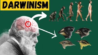 Unveiling Darwin Theory  Evolution Explained  Darwinism [upl. by Hcnarb153]