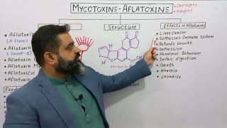 Aflatoxins UrduHindi medium Prof Masood fuzail  Mycotoxins  Types of Aflatoxin [upl. by Yruy290]