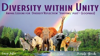 Diversity within Unity Polyrhythmic Music for Reflection or Other Studying w Animal Imagery [upl. by Osber]