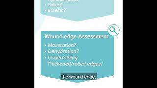 The Coloplast Triangle of Wound Assessment [upl. by Eelarol]