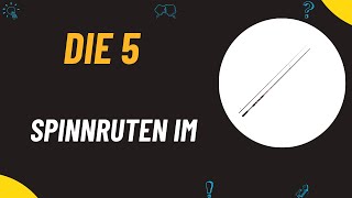 Die 5 Besten Spinnruten im Test 2024 [upl. by Iak]