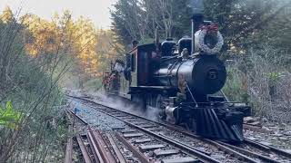 Redwood Valley Railway 5 at the Summit [upl. by Charleton]