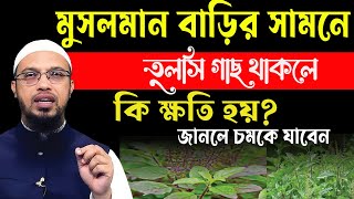 মুসলমান বাড়ির সামনেতুলসীগাছ থাকলে কি ক্ষতি হয়জানলে চমকে যাবেনSheikh Ahmadullah16112024 [upl. by Madox427]