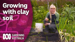 Tips for growing with heavy clay soil in your garden  Discovery  Gardening Australia [upl. by Esille579]