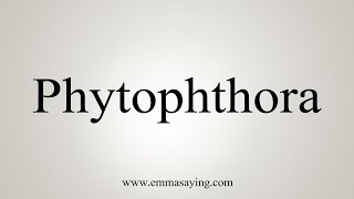 How To Say Phytophthora [upl. by Irehs]