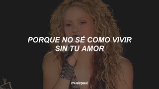 Shakira  Antologia Letra En Vivo desde El Dorado World Tour [upl. by Llecram]