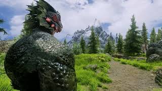 3 must have Argonian mods  Skyrim LE [upl. by Cirnek716]