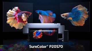 SureColor P20570 64inch Professional Printer  The Art of Performance [upl. by Syst]