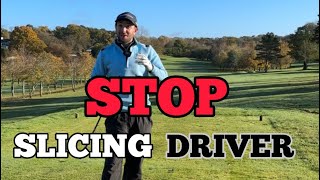 STOP SLICING DRIVER ⛳️ [upl. by Siuluj]