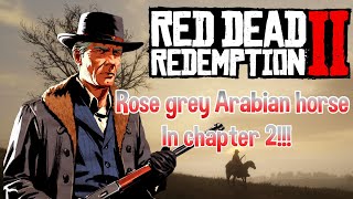 Red Dead Redemtion 2  ROSE GREY ARABIAN HORSE IN CHAPTER 2 Location [upl. by Ingaberg]