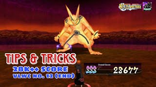 28K SCORE  TIPS amp TRICKS VLWC NO 12 END  NXB NV HajiNxB [upl. by Notlit]