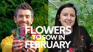 What Flowers To Sow in February  What to Sow in Winter  Seeds for Early Flowers [upl. by Ehling]