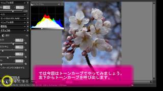 Developing a RAW file with SILKYPIX Pro 40 [upl. by Airyt]