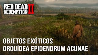 Red Dead Redemption 2  Guía Localización Orquídea Epidendrum Acunae [upl. by Annahsit]