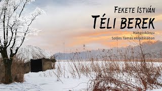 Fekete István Téli berek [upl. by Auqinom]