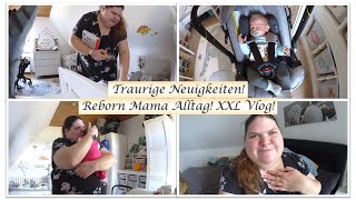 Traurige Infos  Reborn Mama Alltag  XXL Vlog  Reborn Baby Deutsch  Little Reborn Nursery [upl. by Seroled]