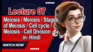 Meiosis  Meiosis  Stages of Meiosis  Cell cycle  Meiosis  Cell Division  in Hindi  Lecture 7 [upl. by Abehsile]