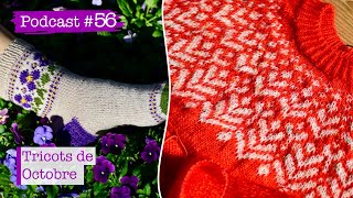 Podcast Tricot 56  Tricots de Octobre [upl. by Ynohtnakram]