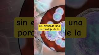 Influenza 🦠 shorts shortshortsvideo shortsfeed influenza oms salud prevention health [upl. by Dominy]