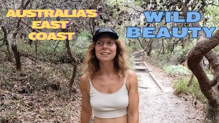 Fraser Island and Noosa Heads  Exploring Stunning Coast of Queensland Australia [upl. by Yltsew]