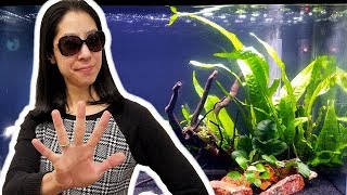 5 Things I Wish I Knew Before Starting a Planted Aquarium [upl. by Akirrehs]